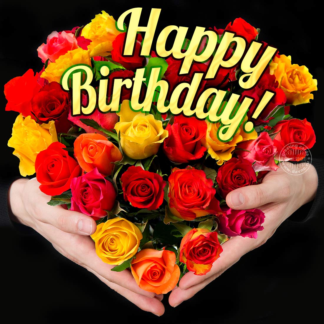 birthday-card-with-roses-download-on-davno